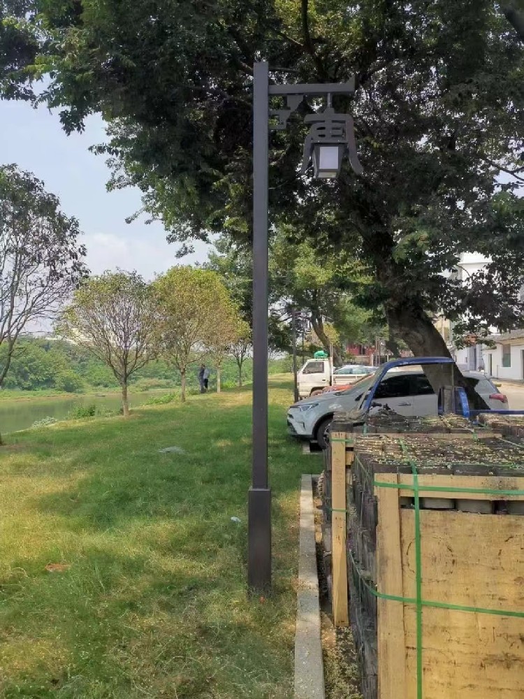 淄博某小區4米庭院燈